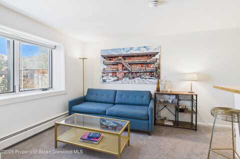 119 E Cooper Avenue, Aspen, CO 81611