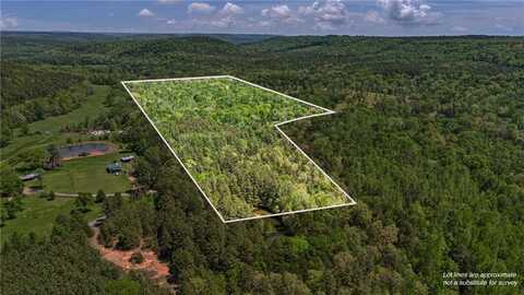 3101 Bradfield RD, Russellville, AR 72802