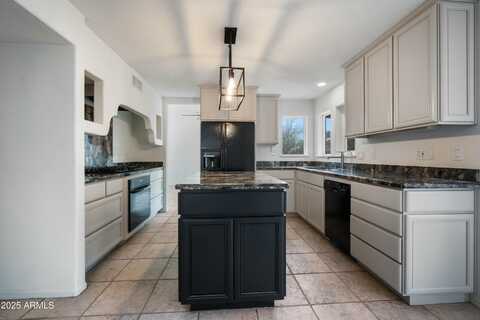 1428 E LAS PALMARITAS Drive, Phoenix, AZ 85020
