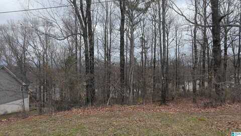 512 BAILY DRIVE, BIRMINGHAM, AL 35215