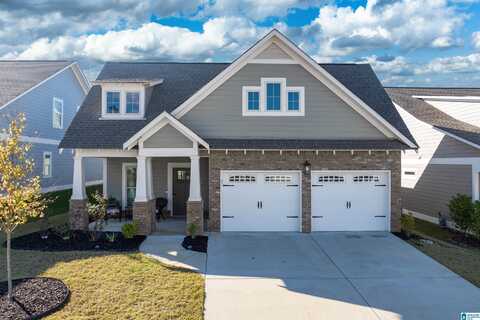 3650 HALCYON TRACE, TRUSSVILLE, AL 35173