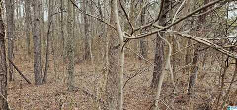 3753 COUNTY ROAD 42, ONEONTA, AL 35121
