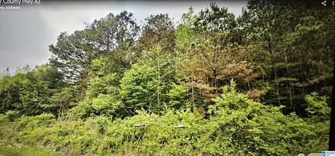 3753 COUNTY ROAD 42, ONEONTA, AL 35121