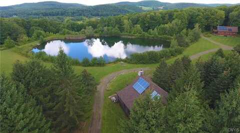 175 Hovick Road, Hartwick, NY 13348