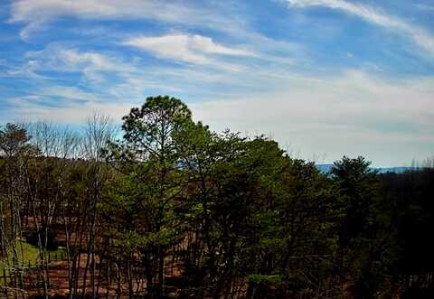 0 Rushing Water Trail, Rising Fawn, GA 30738