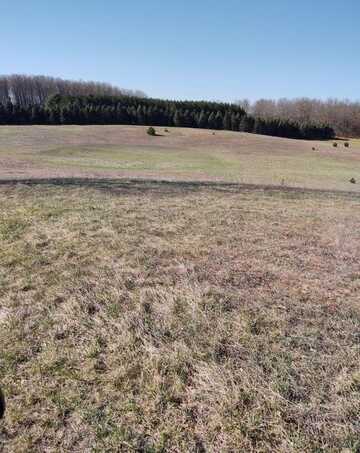 1420 W SURREY, Farwell, MI 48622