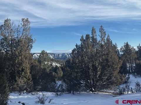 1146 Harvard Avenue, Pagosa Springs, CO 81147