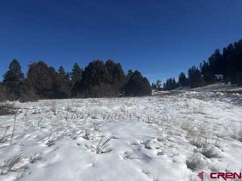 64 Bradley Place, Pagosa Springs, CO 81147