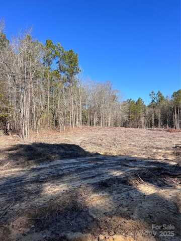 Lot 1-3 Crossroads Church Road, Mount Croghan, SC 29727