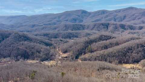 35 Lower Sand Branch Road, Black Mountain, NC 28711