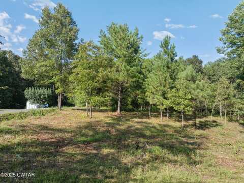 00 Stan Lane, Cedar Grove, TN 38321