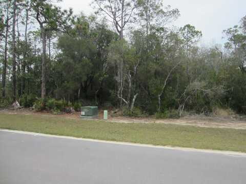 Lot 20 N Elm Street, Santa Rosa Beach, FL 32459