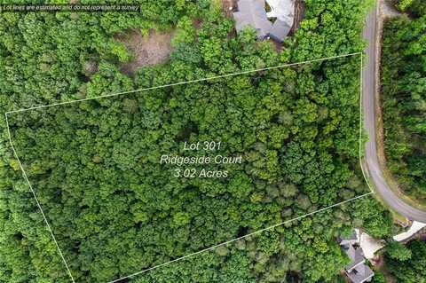 0 Ridgeside Court, Jasper, GA 30143