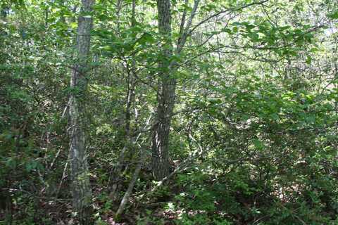 TBD HIGH VALLEY NORTH, MONTEREY, VA 24465