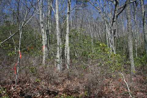 TBD HIGH VALLEY SOUTH, MONTEREY, VA 24465
