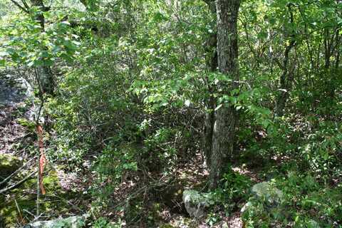 TBD HIGH VALLEY SOUTH, MONTEREY, VA 24465