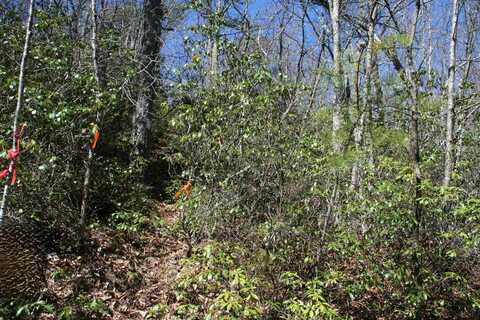 TBD SUMMIT DR, MONTEREY, VA 24465