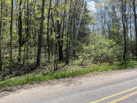 00000 W Clear Lake Road, Three Rivers, MI 49093