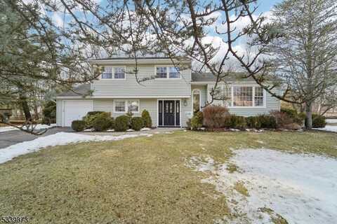 39 Billingsley Dr, Livingston, NJ 07039