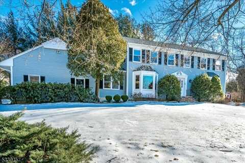 705 Meyersville Rd, Hilltop, NJ 07933