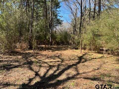 TBD CR 2120, Pittsburg, TX 75686