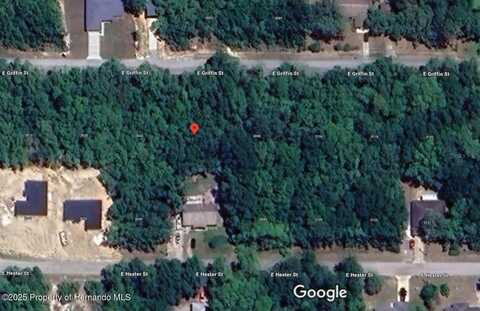 3054 E Griffin Street, Iverness, FL 34452