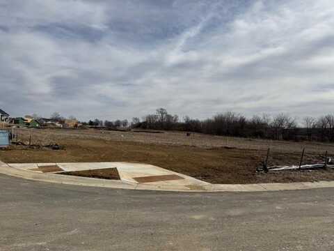 12111 W 173rd Terrace, Overland Park, KS 66221
