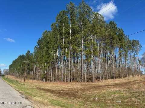 Smith County Road 99, Bay Springs, MS 39422