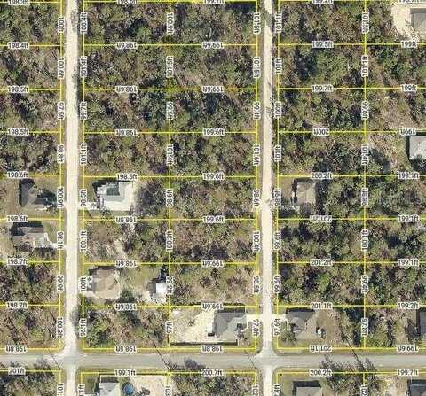 13 ENGLISH PARROT, BROOKSVILLE, FL 34614