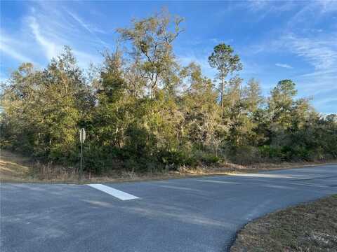 9919 N PINK MOSS POINT, CRYSTAL RIVER, FL 34428