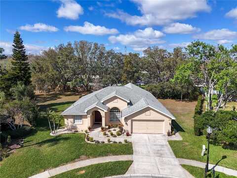 8233 DANUBIAN PLACE, TRINITY, FL 34655