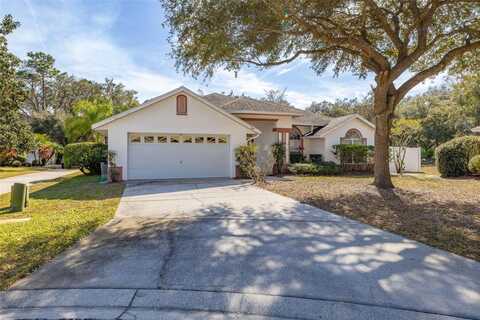 248 BREEZY OAKS COURT, DAVENPORT, FL 33896