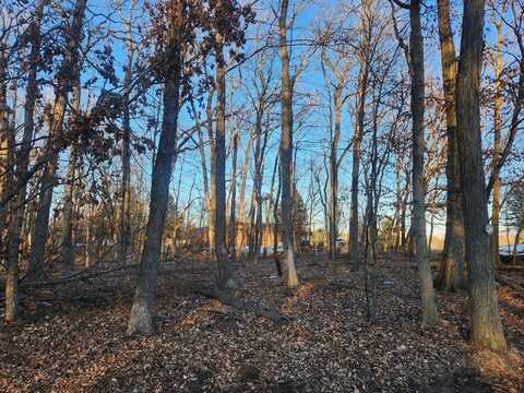 Lot 1101 Jay Court, Varna, IL 61375