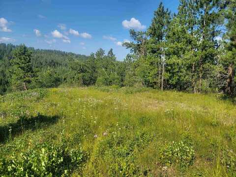 TBD Last Chance Trail, Lead, SD 57754