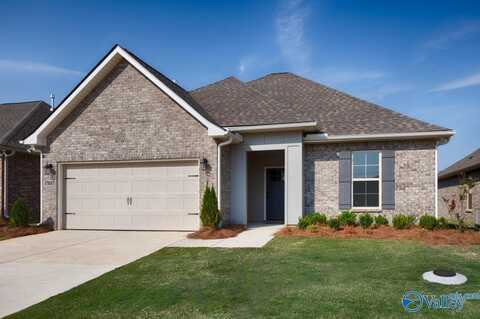 17687 Cabernet Street, Athens, AL 35613
