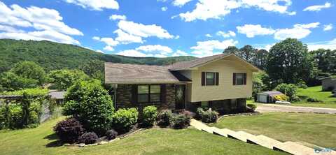 3911 Plains Avenue SW, Fort Payne, AL 35967