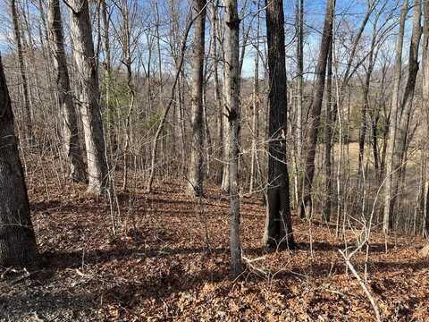 Lot 77a Licklog Ridge, Hayesville, NC 28904