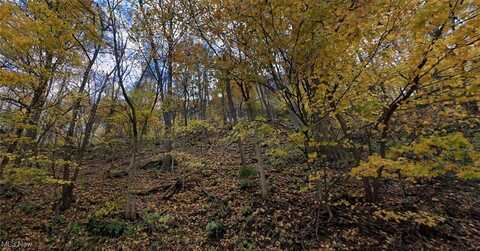 Middle Run Road, Chester, WV 26034