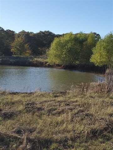 Tbd C. R. 2610, Ivanhoe, TX 75447