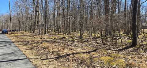 118 & 120 Birchwood Lane, Hawley, PA 18428