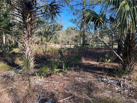 8108 N Shannon Avenue, Crystal River, FL 34428