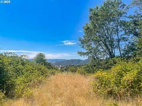 0 NE ALAMEDA AVE, Roseburg, OR 97470