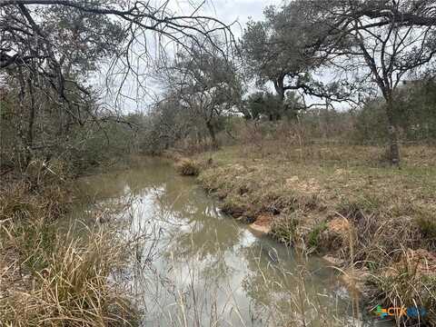 7 Dentler Tract 7 Road, Meyersville, TX 77974