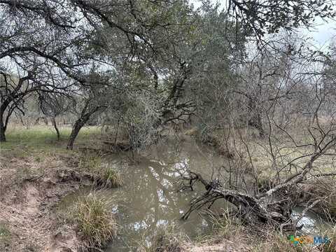 6 Dentler Tract 6 Road, Meyersville, TX 77974