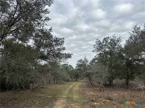 3 Dentler Tract 3 Road, Meyersville, TX 77974