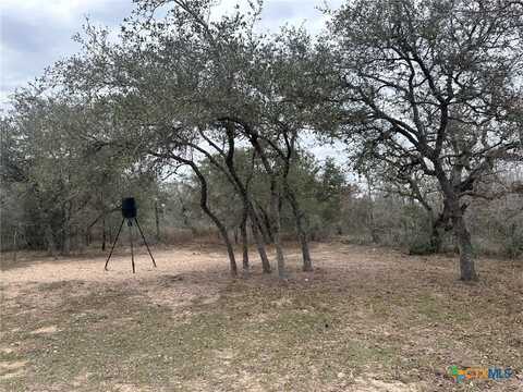 2 Dentler Tract 2 Road, Meyersville, TX 77974