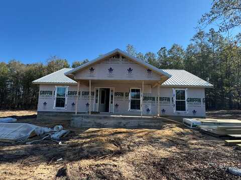 122 Shellcracker Rd., Vienna, GA 31092