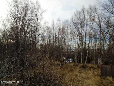 000 Essex Park Drive, Anchorage, AK 99516
