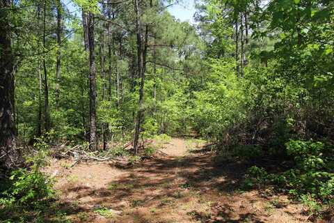 South Tract Grant County Road 68, Sheridan, AR 72150