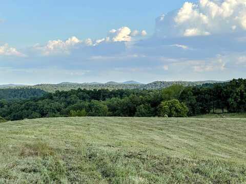 Unk Polk Road 62, Mena, AR 71953